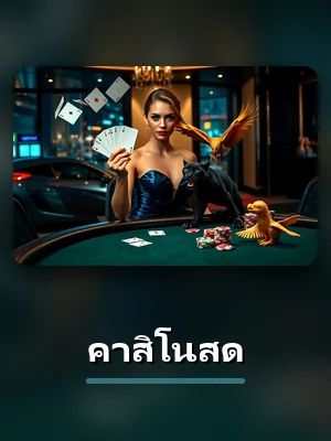 โต๊ะคาสิโนสดสดในคาสิโน TH68